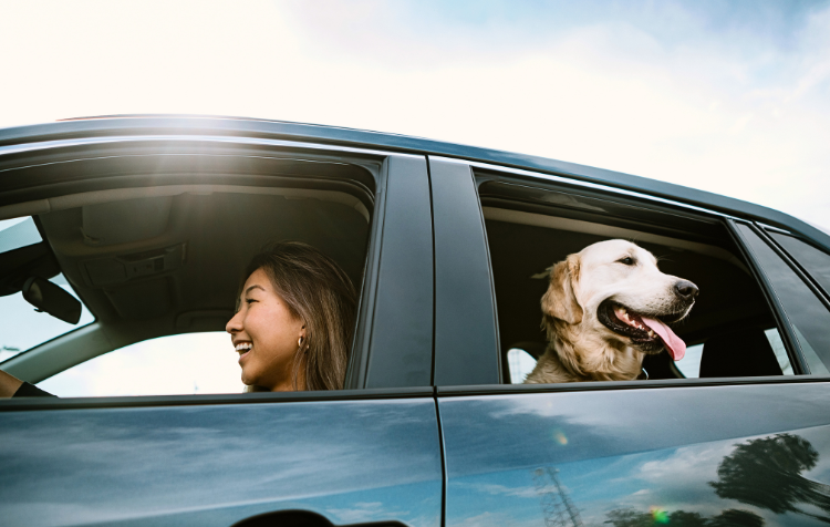 woman driving car with dog